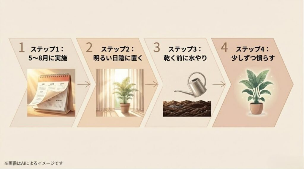 5〜8月の実施、明るい日陰、水やり、慣らし期間という育て方の4つのステップを説明するイラスト