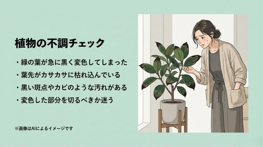 変色した葉を心配そうに見つめる女性と、葉先が枯れる・黒い斑点が出るなどの不調項目をまとめたチェックリスト