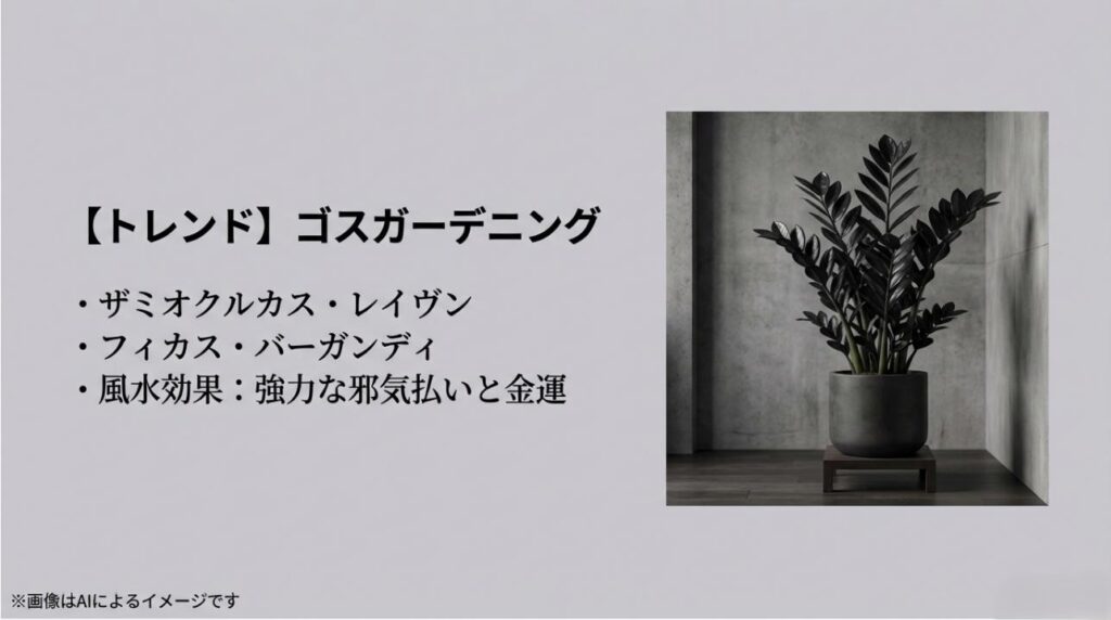 モダンな部屋に置かれた黒いザミオクルカス。邪気払いや金運アップといった風水効果についてもまとめたスライド