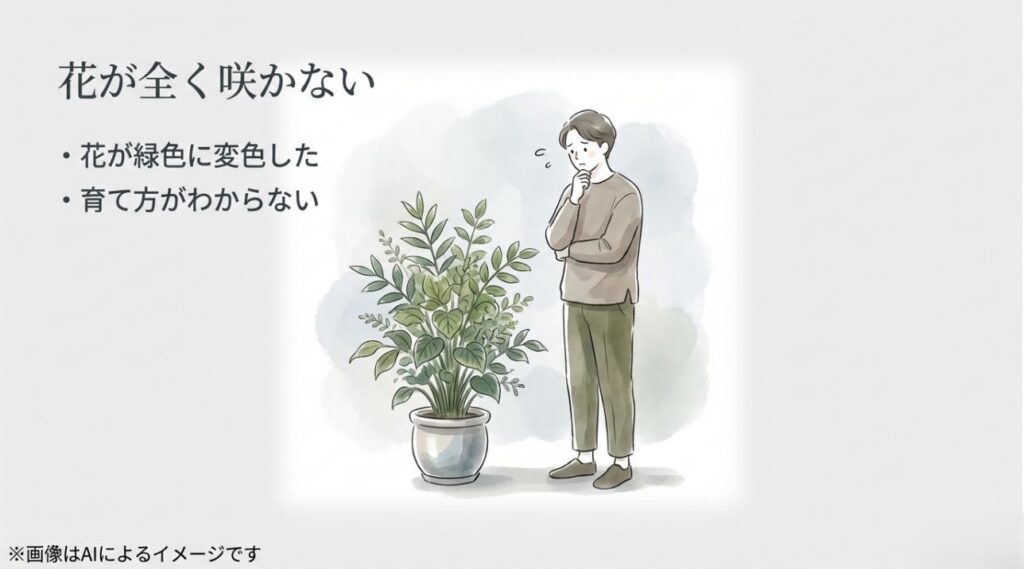 花が全く咲かない、花が緑色に変色した、育て方がわからないと植物の前で悩む人のイラスト