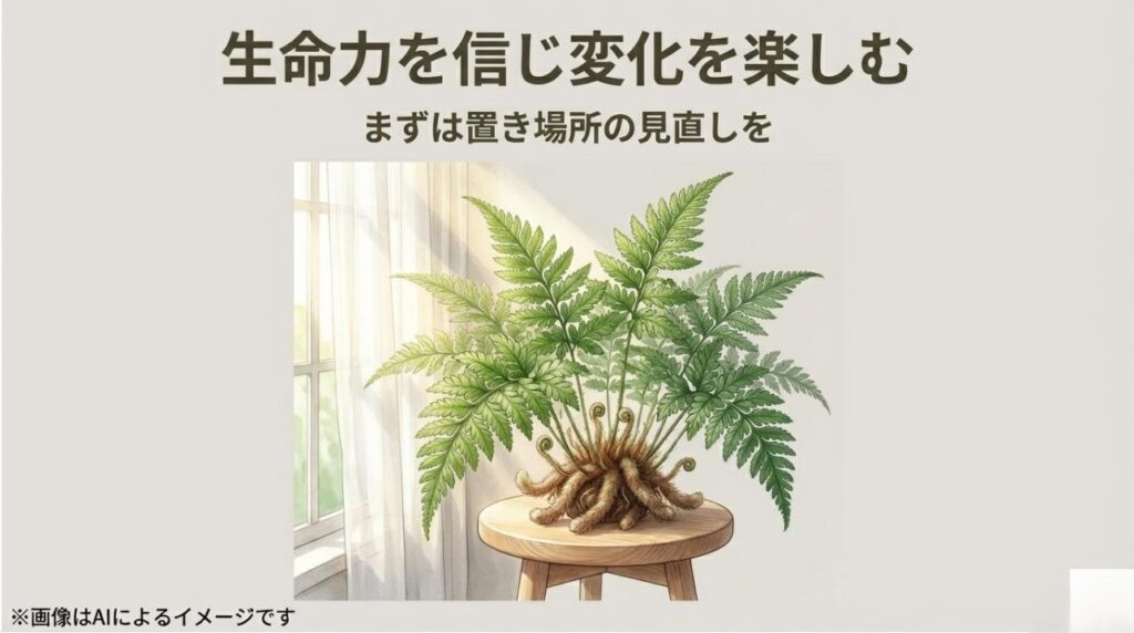 窓辺の明るい日陰に置かれた健康的なシノブと、置き場所を見直して変化を楽しむメッセージ