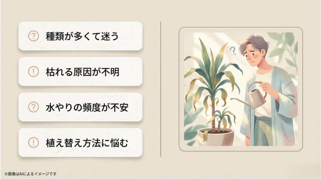 ドラセナを前にして、水やりの頻度や枯れる原因、植え替え方法に首をかしげる男性のイラスト