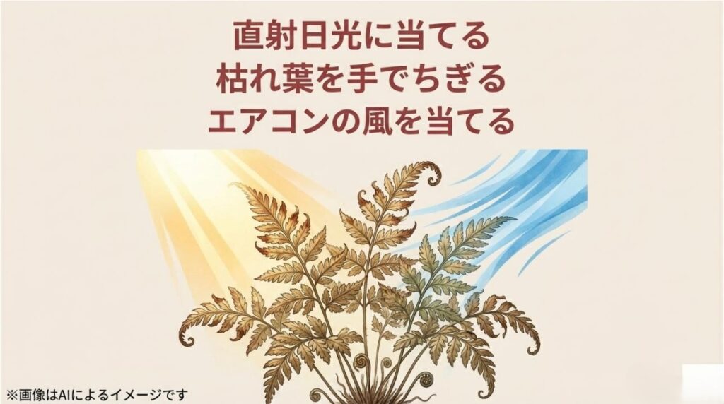 直射日光やエアコンの風、枯れ葉を手でちぎるといった、シノブの健康を損なうNG行為のまとめ