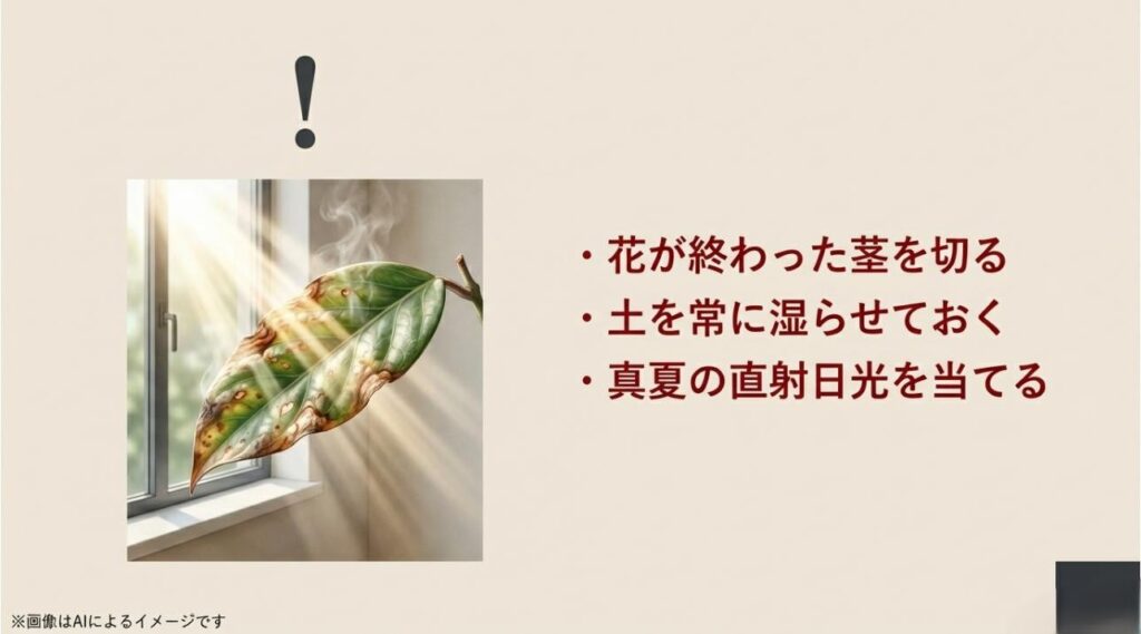 花茎を切る、土を常に湿らせる、直射日光に当てるという、ホヤ栽培で絶対に避けるべき3つのNG行為を記した注意喚起スライド