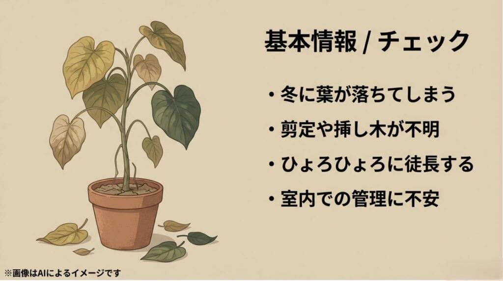 葉が落ちたり徒長したりして元気がないウンベラータと、冬の落葉や剪定などの悩み項目のまとめ