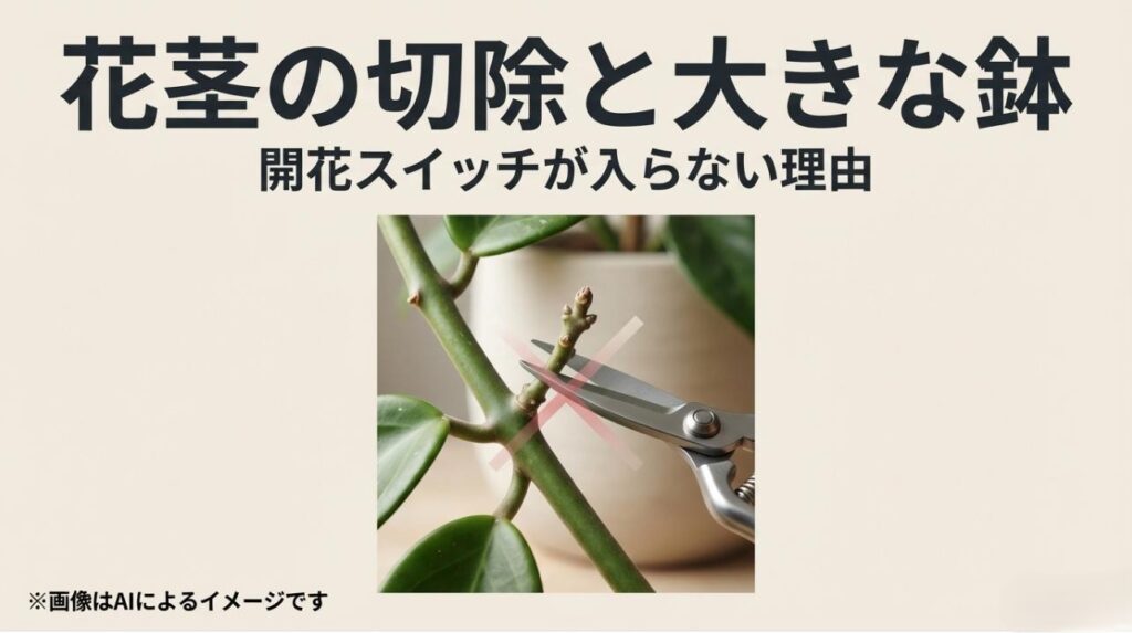 花茎（ペダンクル）をハサミで切る様子と大きな鉢にバツ印をつけ、開花を妨げる要因を説明するスライド