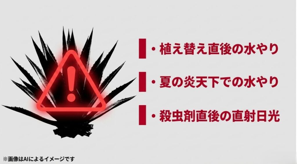 植え替え直後の水やりや炎天下の散水など、アガベ栽培で避けるべき行為のリスト