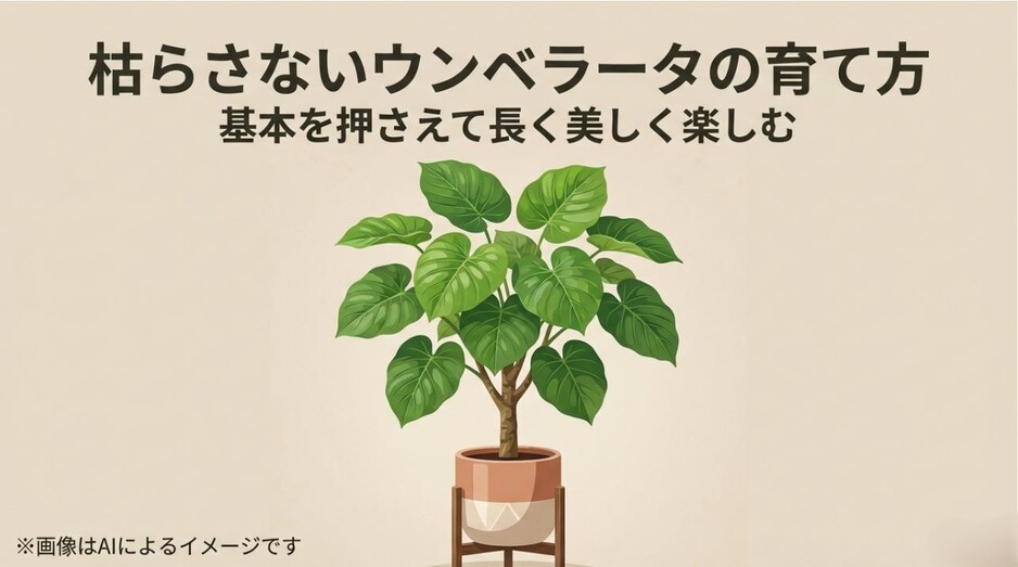 鉢植えの元気なウンベラータのイラストと、枯らさない育て方のタイトル