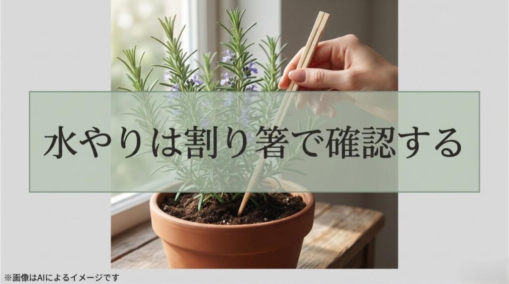 鉢の土に割り箸を挿して、中の湿り具合を確認している様子の写真