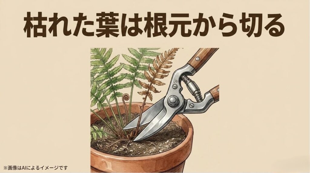 園芸用のハサミを使って、茶色くなった葉を株の根元からカットしている様子