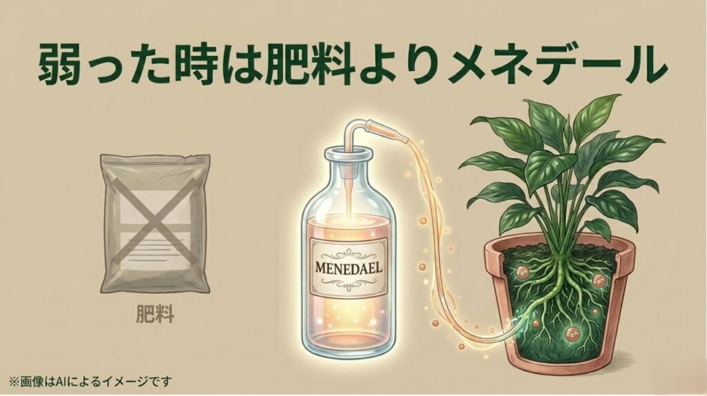 肥料にバツ印がつき、メネデールが根に二価鉄イオンを届けているイメージ図