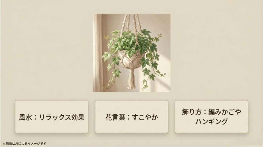 ハンギングで飾られたシュガーバインと、リラックス効果や花言葉を解説したお洒落なスライド