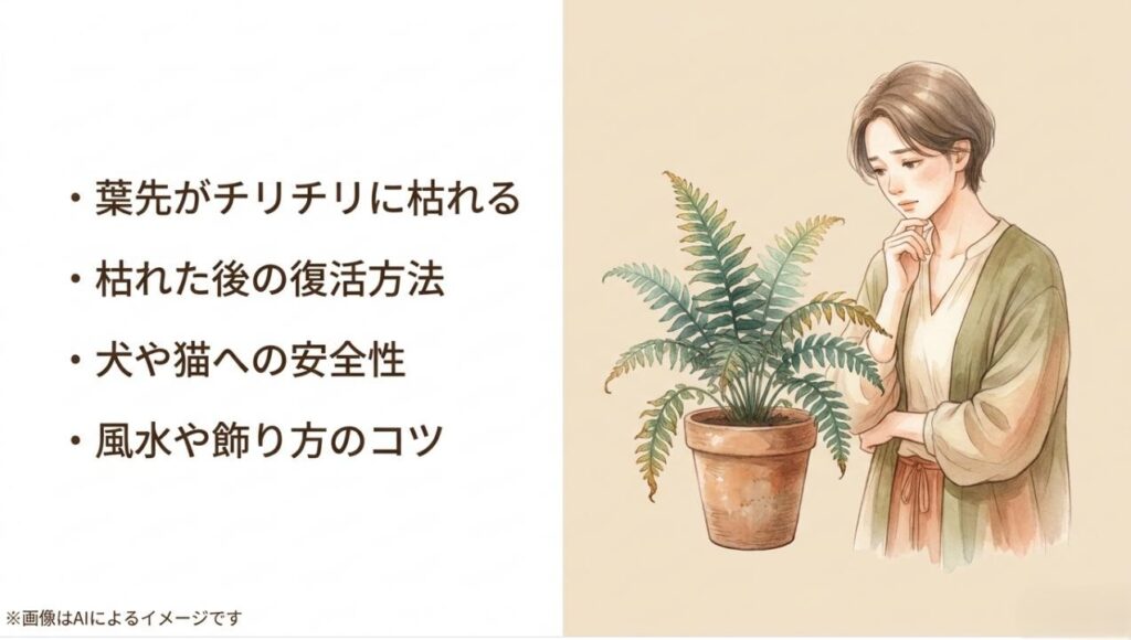 葉先の枯れ、復活方法、ペットへの安全性、風水と飾り方のコツの4項目を紹介するスライド