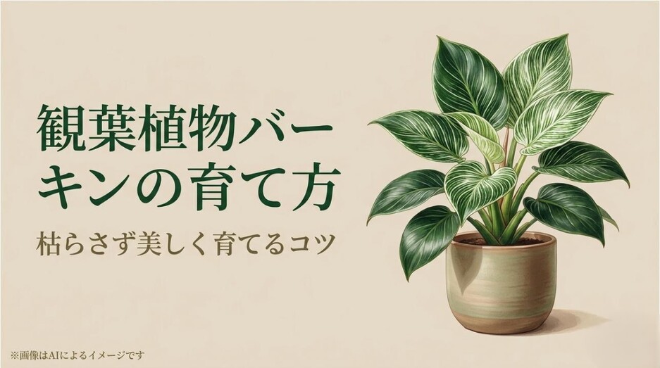 鮮やかな白いピンストライプ模様が特徴的な観葉植物バーキンの鉢植えのイメージ