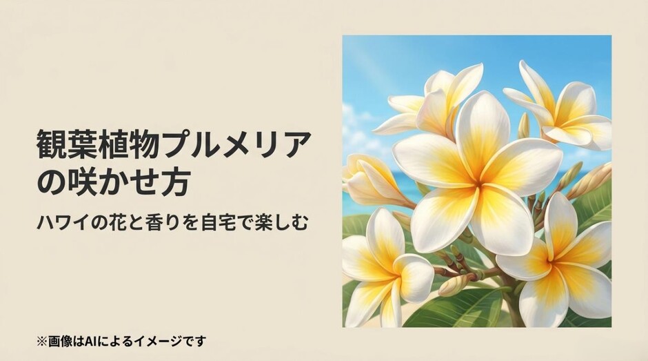 南国の青空をバックに美しく咲き誇る白と黄色のプルメリアの花とタイトルのアイキャッチ画像