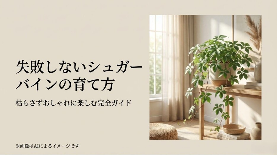 明るい室内のテーブルに置かれた、ツルが美しく垂れ下がる健康的なシュガーバインのアイキャッチ画像