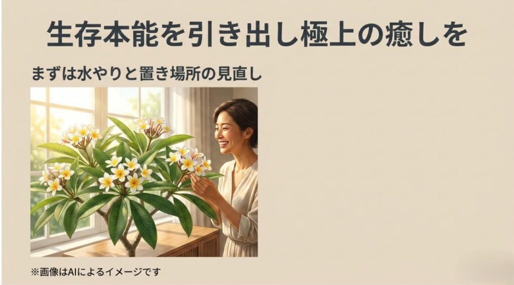 室内で満開のプルメリアに囲まれ、その香りを楽しむ幸せそうな女性の姿を映したまとめのスライド