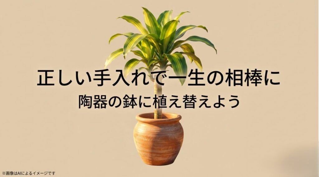 陶器の鉢に植え替え、適切なお手入れを続けることで植物と長く暮らすメッセージを込めたスライド