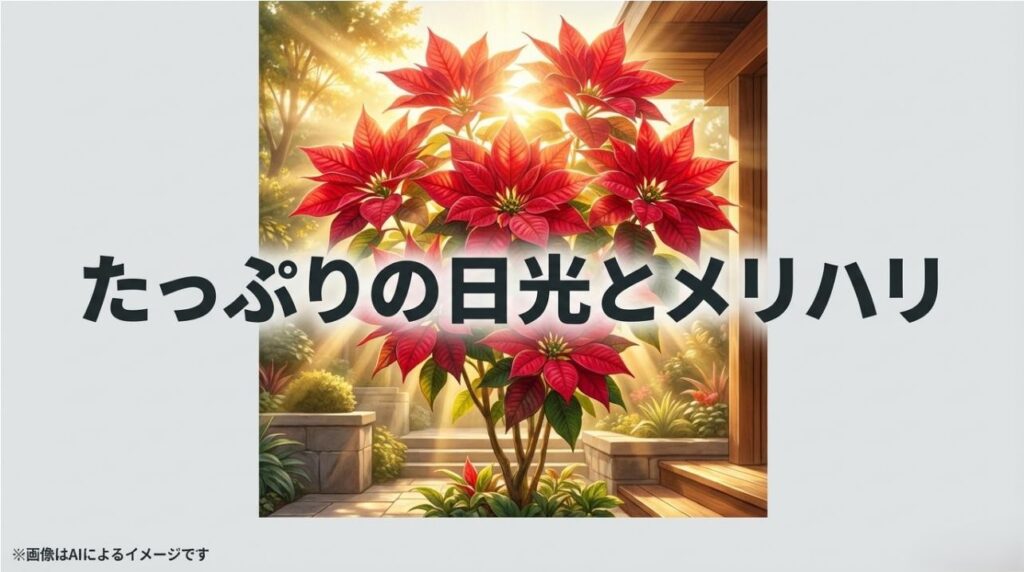 窓際で日光を浴びる赤い葉の植物に、ジョウロで水を与えているイメージ画像と、育成の基本方針「たっぷりの日光とメリハリ」というメッセージ