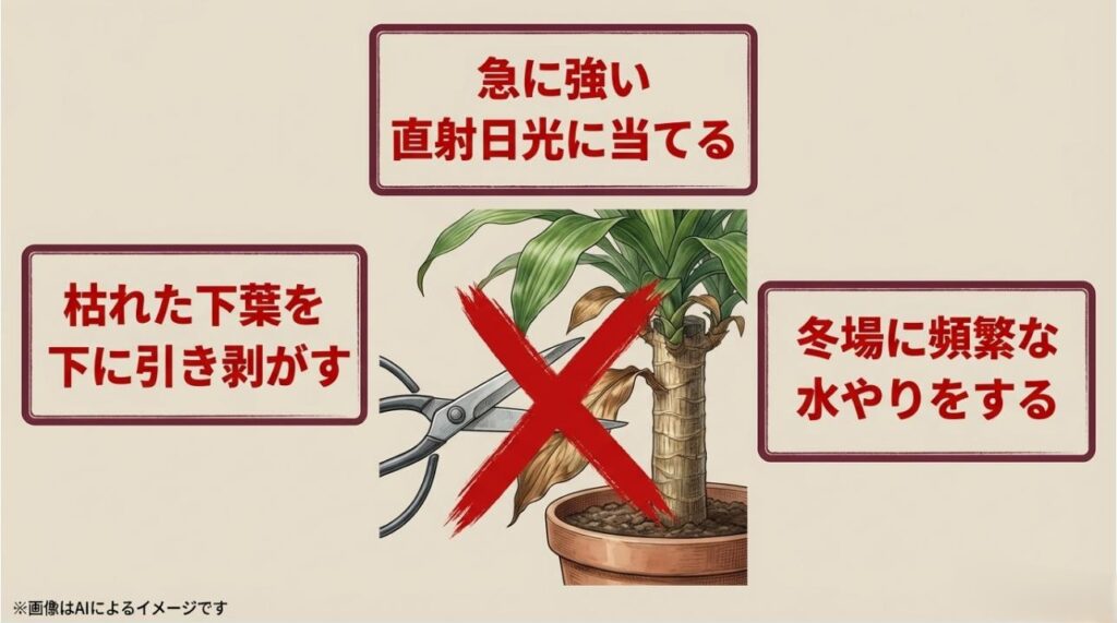 下葉の引き剥がし、急な日光、冬の過剰な水やりを禁止事項としてまとめた注意喚起スライド