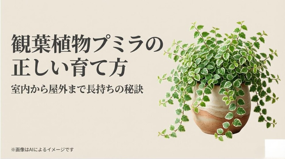 鉢から美しく垂れ下がるプミラの写真と、室内から屋外まで対応した育て方ガイドのタイトル
