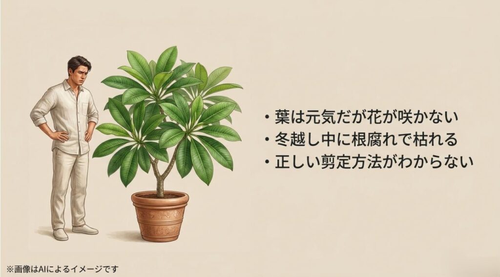 元気な葉があるのに花が咲かない様子や冬の枯死に悩む栽培者のイメージと、よくある悩みをまとめたスライド