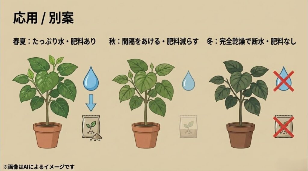 春夏、秋、冬それぞれの季節における水やりの頻度と肥料の有無をまとめたガイド