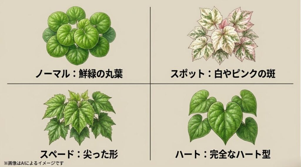 ノーマル、スポットライト、スペード、ハート型の4種類の葉の形を比較したイラストスライド