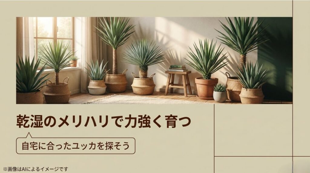 多様なユッカが室内に飾られた美しいインテリア写真と、自分に合う株を探すことを提案するメッセージ