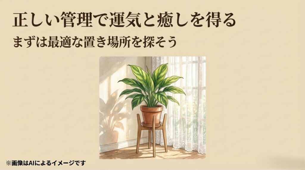 窓際で健康に育つジャマイカの姿と、正しい管理で得られる癒しや運気アップのメッセージを込めたまとめスライド