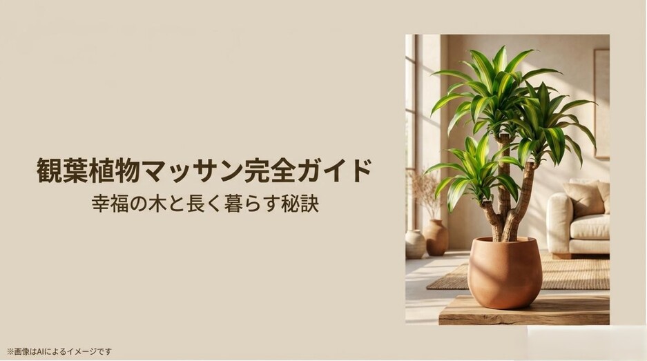 部屋をおしゃれに彩る健康な幸福の木（ドラセナ・マッサンゲアナ）のアイキャッチ画像