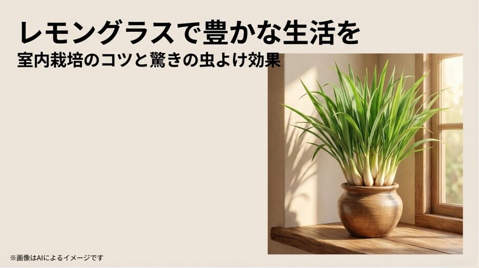 柔らかな光が差し込む窓辺に置かれた、鉢植えのレモングラスのアイキャッチ画像