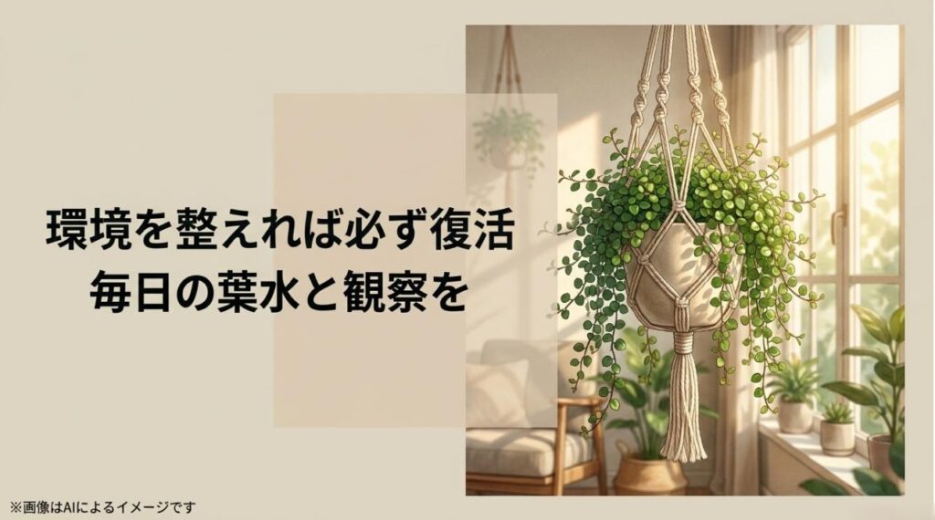 霧吹きで葉水を与え、適切な環境で元気に育つワイヤープランツと復活へのエール