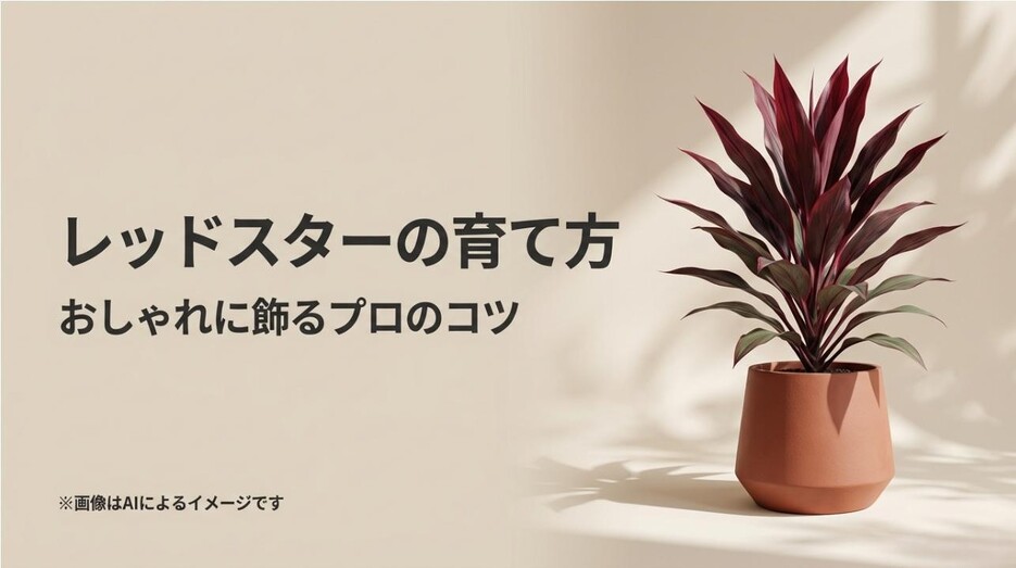 シックな部屋に飾られたレッドスターの鉢植えと、初心者向け育て方ガイドのタイトルスライド