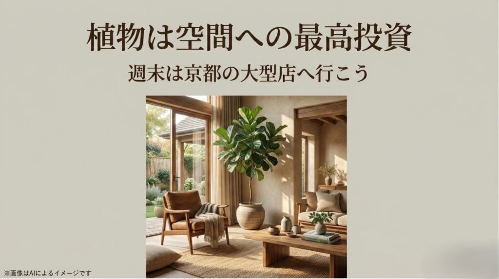 洗練されたリビングに置かれた大型の観葉植物と、京都の大型店への来店を促すメッセージ