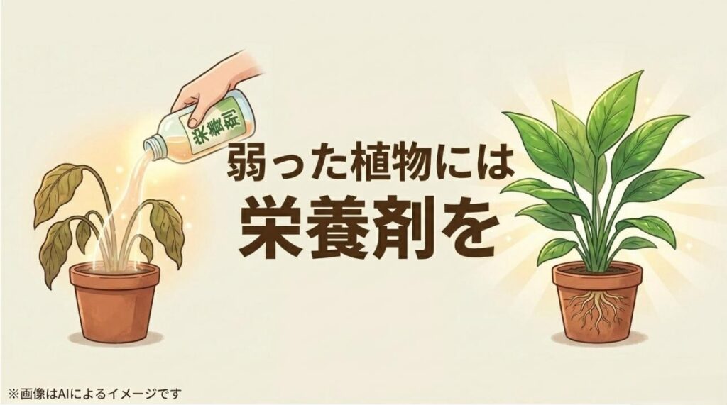 弱っている植物に対し、点滴のような役割を果たす栄養剤（活力剤）を与えることで回復を促すイメージ