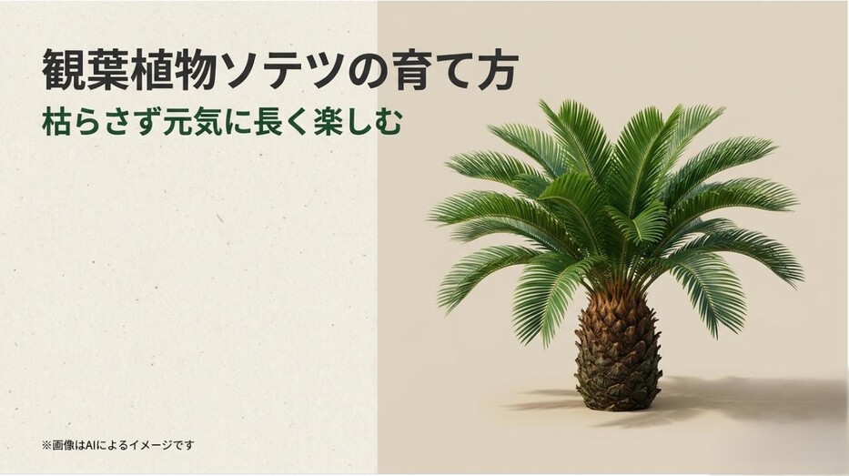 南国感あふれる元気なソテツの画像と、育て方を解説するタイトルスライド