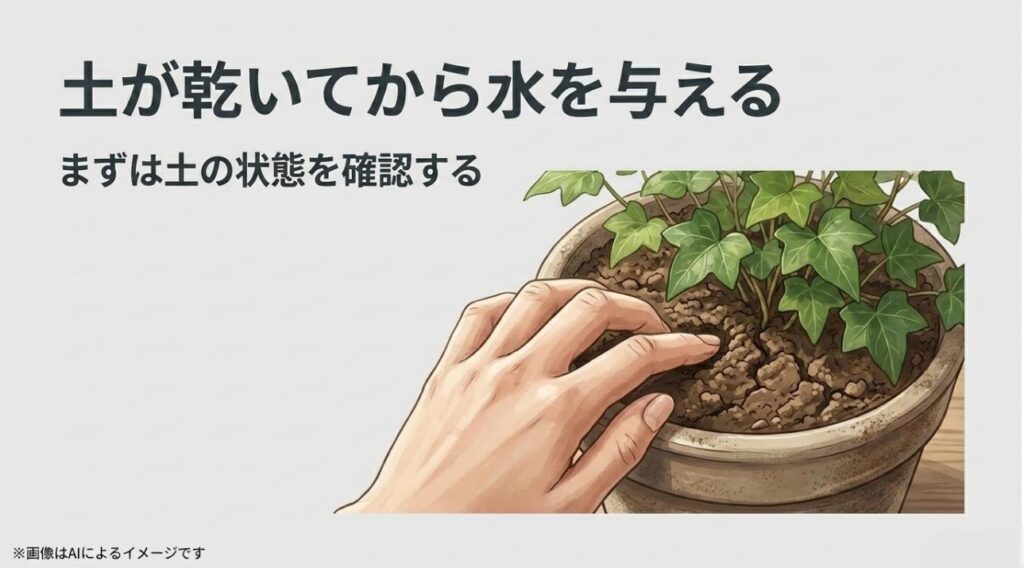 指で土を触って湿り具合を確認し、乾いてから水を与えるという正しい水やり方法を伝えるスライド