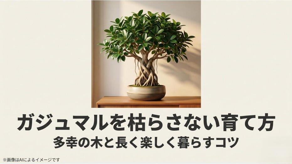 独特な形の気根が美しく、青々と葉を茂らせた健康なガジュマルの鉢植え。
