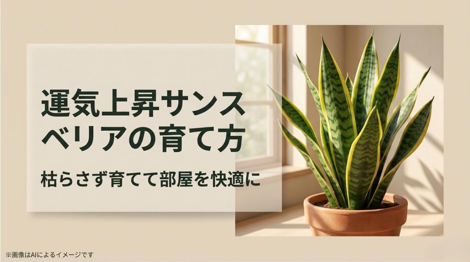 明るい室内の窓辺に置かれた鮮やかな黄色の縁取りがあるサンスベリアの鉢植えと、「運気上昇サンスベリアの育て方 枯らさず育てて部屋を快適に」というタイトルテキストが並ぶアイキャッチ画像