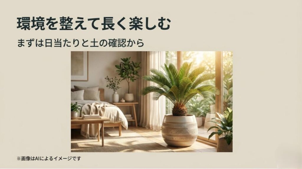 明るい室内に置かれた美しいソテツと、日当たりと土の確認を促すメッセージ