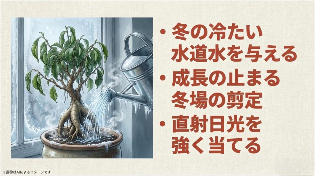 雪の降る窓辺で、冷たい水をかけられたり不適切な剪定をされたりしてダメージを受けるガジュマルの警告イメージ。