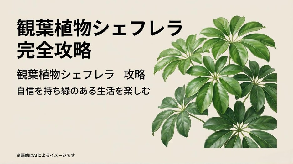 『観葉植物シェフレラ 完全攻略 自信を持ち緑のある生活を楽しむ』というタイトルがデザインされた、記事の導入を飾るアイキャッチ画像