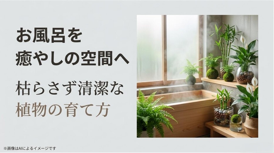 浴室に飾られた美しい観葉植物のイメージと、「お風呂を癒やしの空間へ 枯らさず清潔な植物の育て方」というタイトルが書かれたアイキャッチ画像