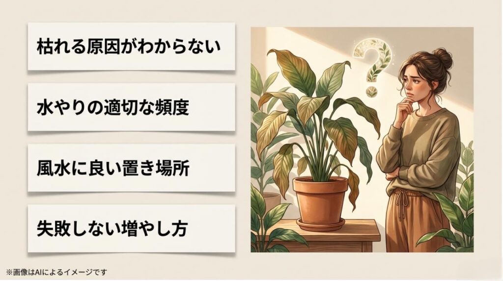 枯れかかった植物の前で、適切な水やりの頻度や風水の置き場所、失敗しない増やし方について悩む女性のイラストと疑問符が描かれたスライド