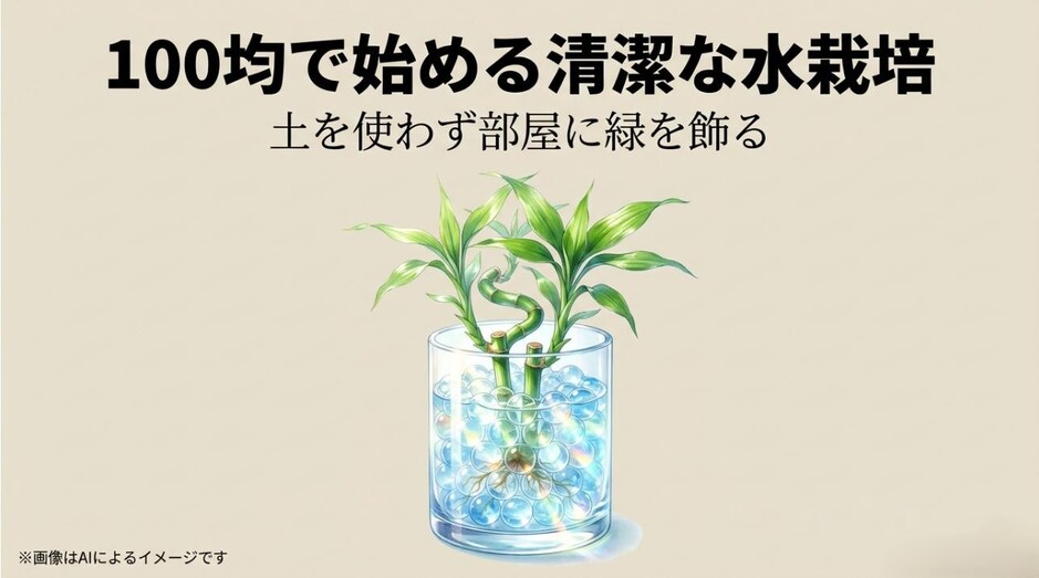 100円ショップのガラス容器と透明なジェリーボールに植えられたミリオンバンブーの清潔感あるイメージ