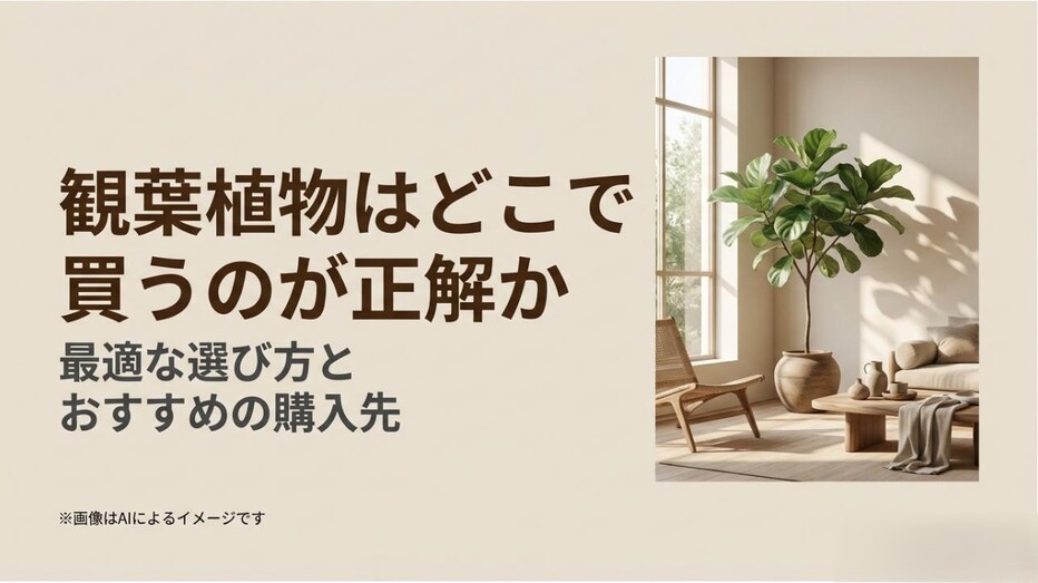 おしゃれなインテリアグリーンの画像に「観葉植物はどこで買うのが正解か」というタイトルが添えられた、記事のメインビジュアル