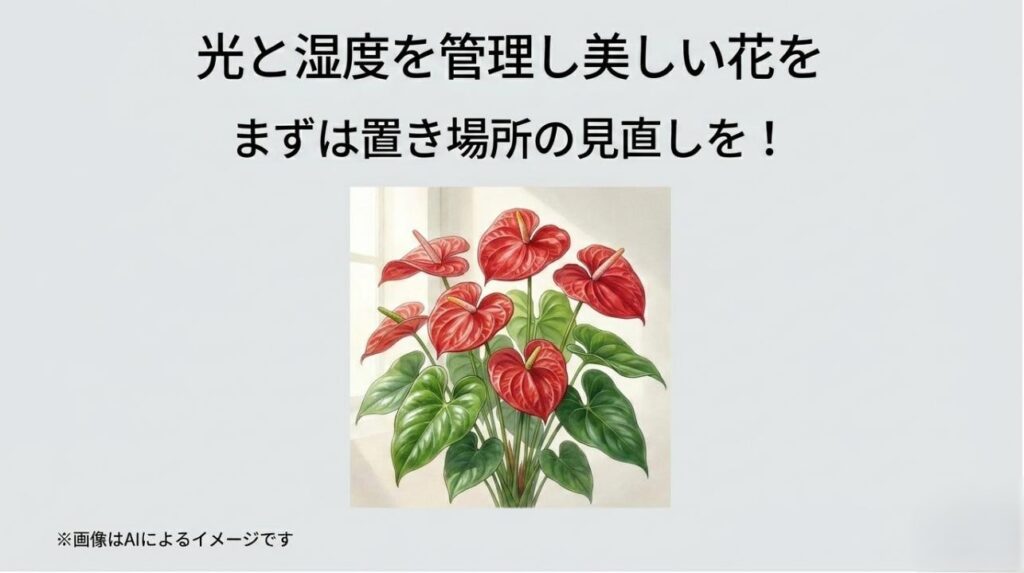 置き場所を見直し、適切な管理を行うことで、次々と美しい花を咲かせるアンスリウムの完成イメージ