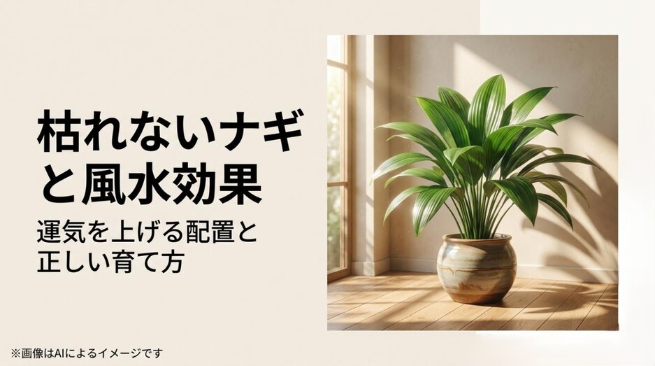 柔らかな光が差し込む部屋に置かれた、艶やかな葉を広げる健康的な観葉植物ナギのアイキャッチ画像