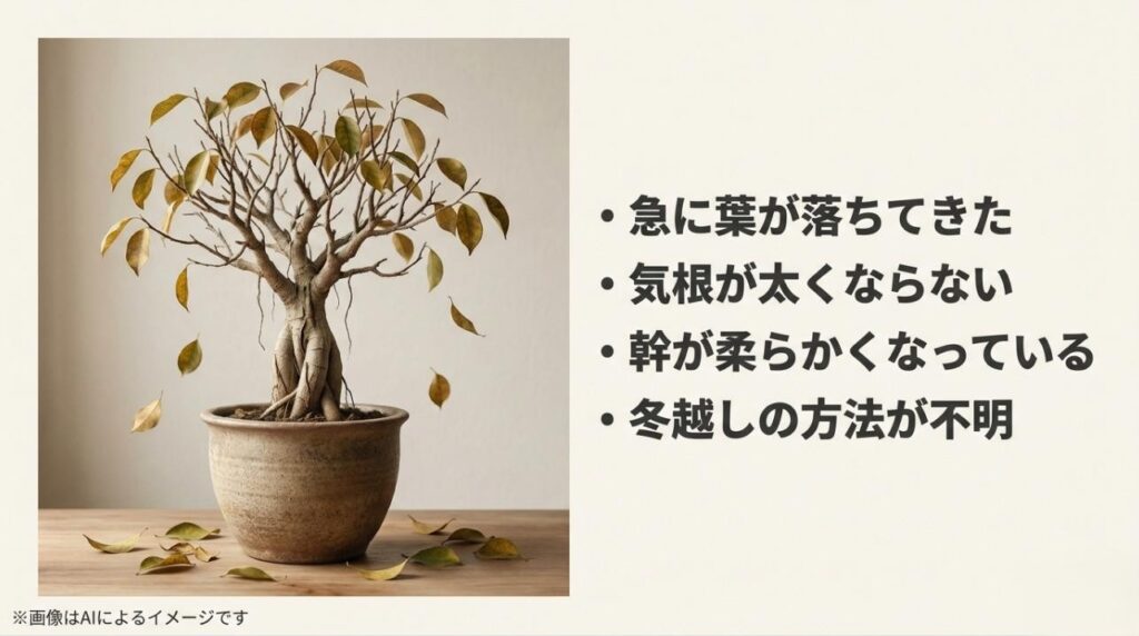 葉が落ちる様子や幹の状態など、初心者が不安になりやすいガジュマルのトラブル例をまとめた図解。